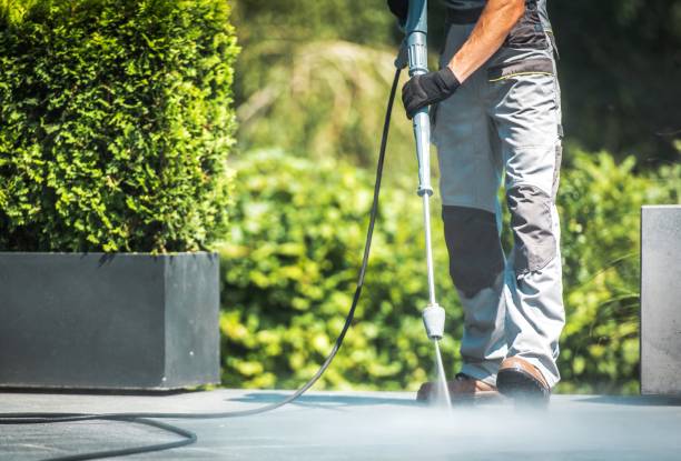 Best Boat and Dock Cleaning  in Elroy, NC