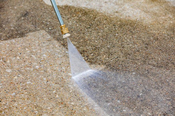 Best Roof Washing  in Elroy, NC
